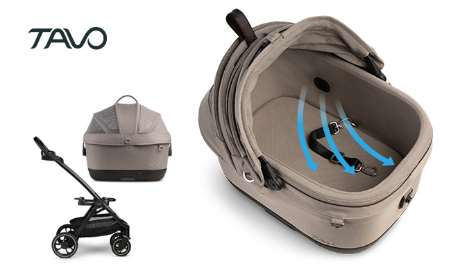 TAVO ウィンドシリーズ