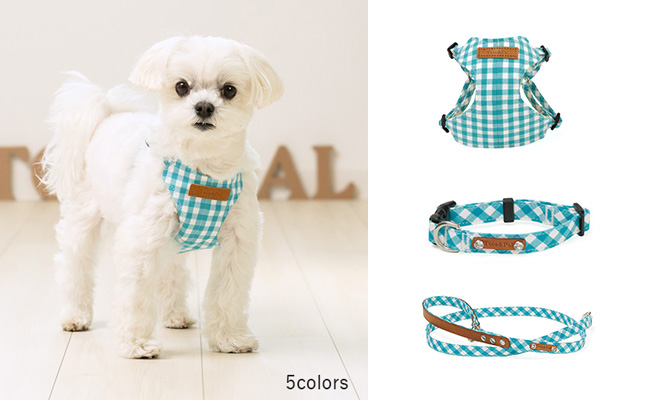 マンチェスター