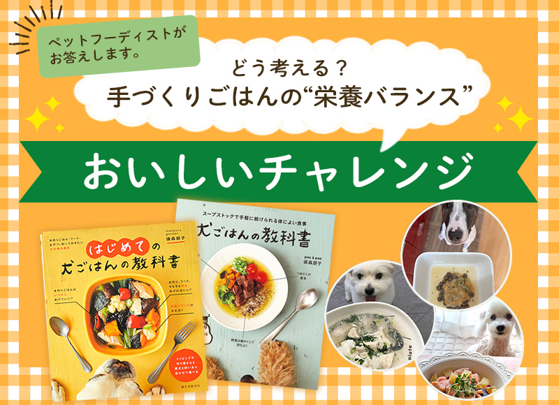 秋穫祭「おいしいチャレンジ！～どう考える？手作りごはんの栄養バランス～」