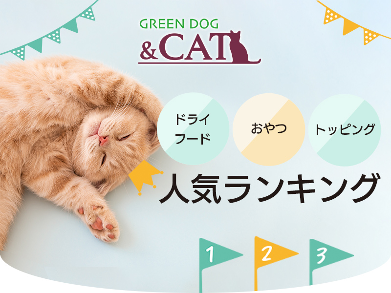 GREEN DOG＆CAT 2023.9.28 START