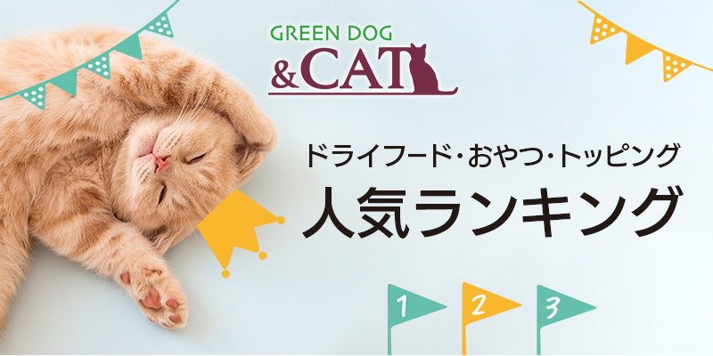 GREEN DOG＆CAT 2023.9.28 START