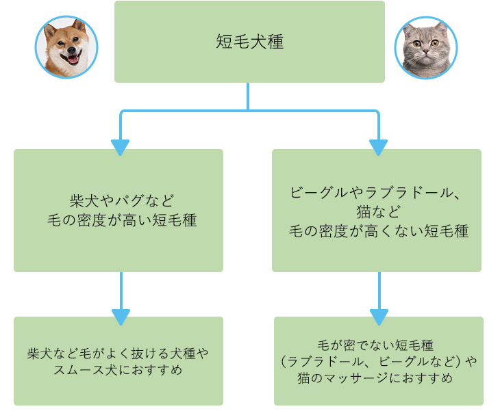 短毛種用ブラシの選び方