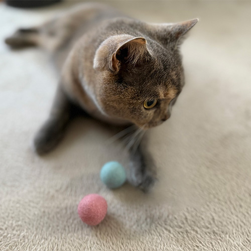 necono　コロコロボール