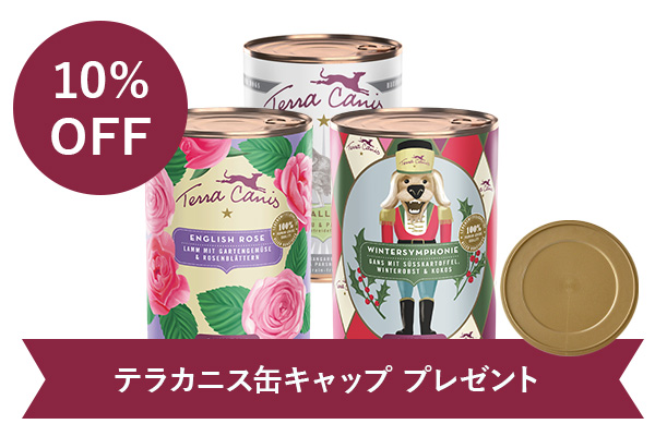 GREEN DOG & CAT限定　テラカニス　冬のぬくもりセット