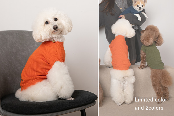 【with】コットンシルクカシミヤ　モックネック
