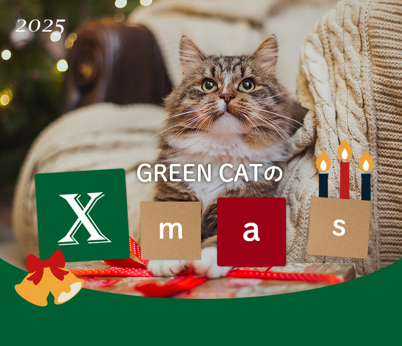 GREEN DOGのクリスマス2025