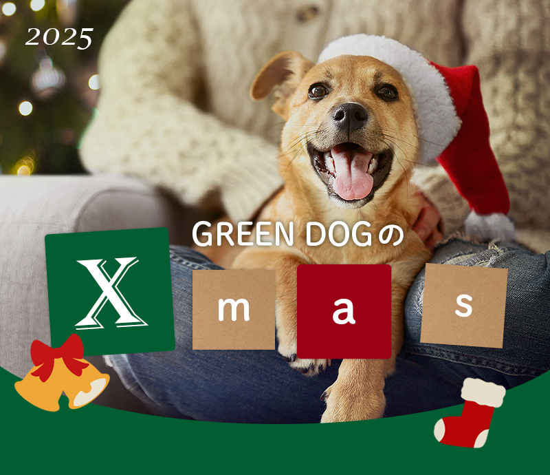GREEN DOGのクリスマス2025