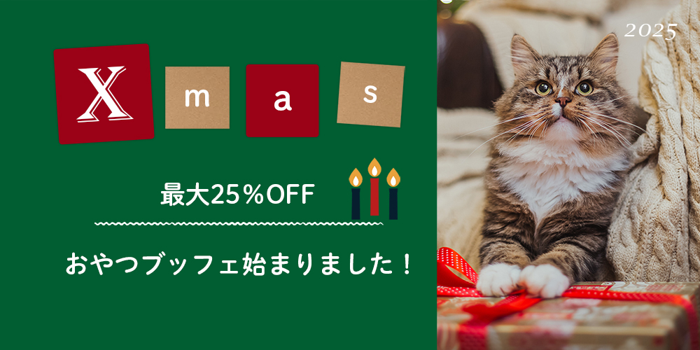 CATクリスマス
