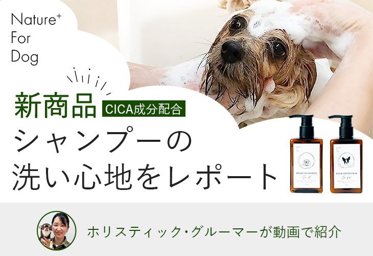 【新商品】CICA成分配合Nature+for Dog シャンプーの洗いごこちは？