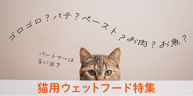 猫用ウェットフード特集
