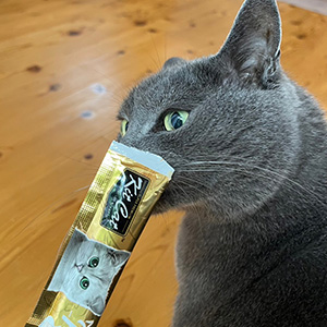 パートナー
