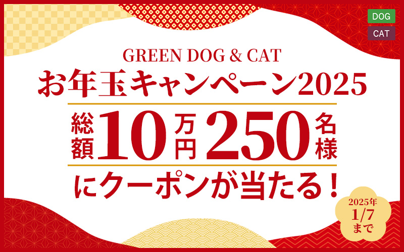 お年玉キャンペーン