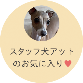 スタッフ犬アットのお気に入り