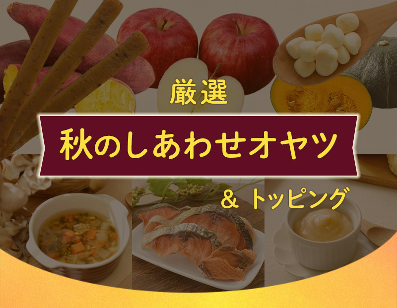 秋の味覚メインビジュアル