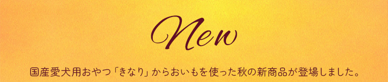 きなりから秋の新商品