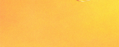 きなりサツマイモジャーキー