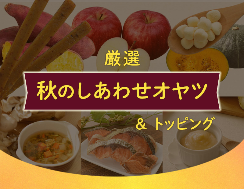 秋の味覚メインビジュアル