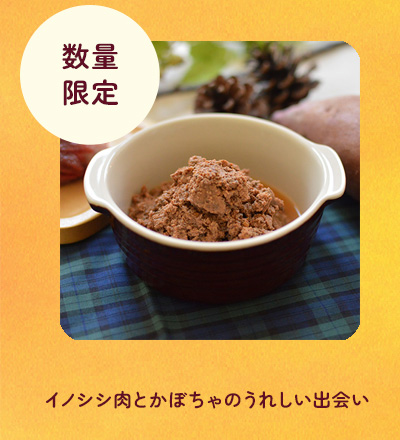 ビオリオーブワイルドボア