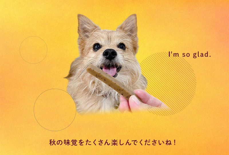 ラストイメージ