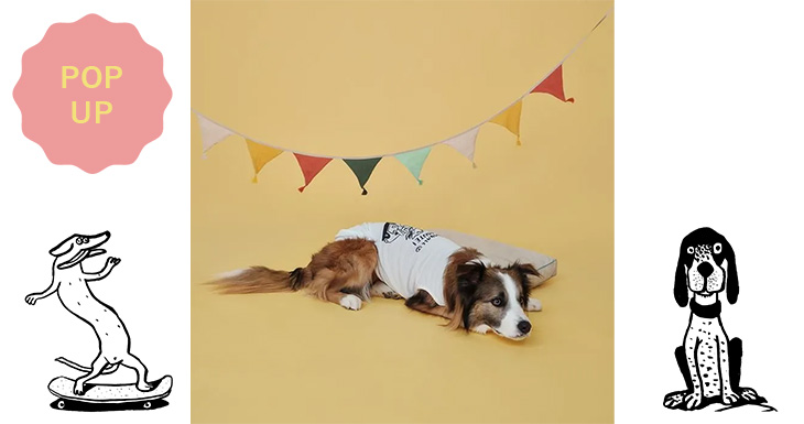 PET SO CHIC ROUTE7