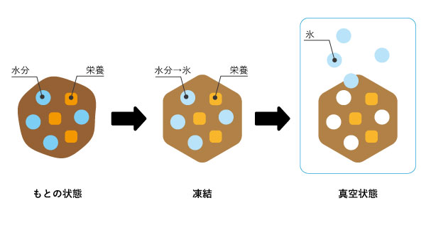 フリーズドライの仕組み