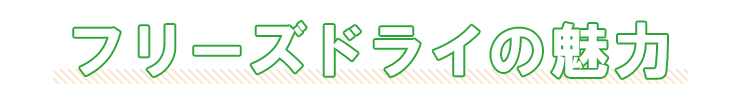 フリーズドライの魅力