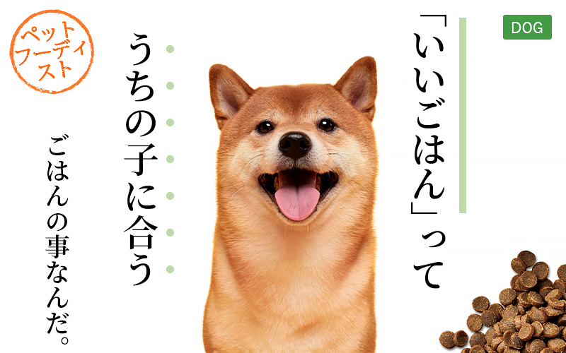 ペットフーディストがおすすめ　お悩み・体質から「うちの子のごはん」を探そう