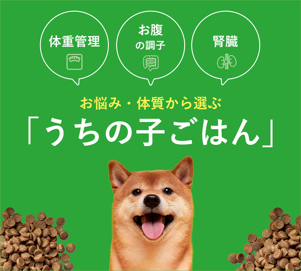 ペットフーディストがおすすめ　お悩み・体質から「うちの子のごはん」を探そう