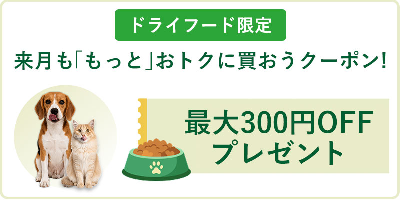 ドライフードを来月もお得に買おう！キャンペーン　100円OFF