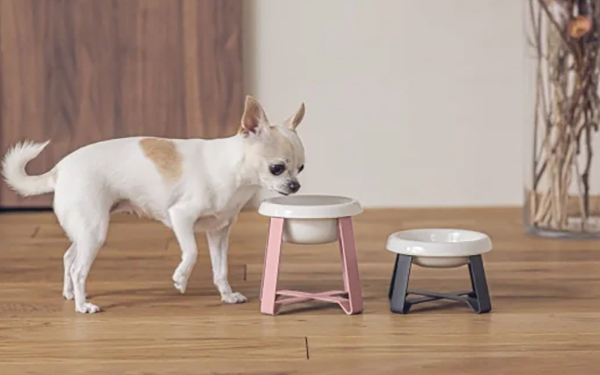 Hot Dog フードボウル