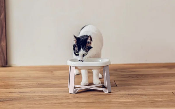PECOLO　Food Stand -CAT-