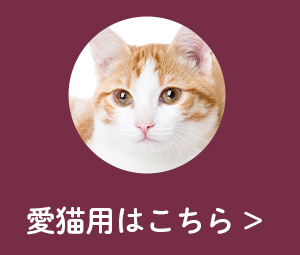 愛猫用メニュー