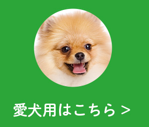 愛犬用メニュー