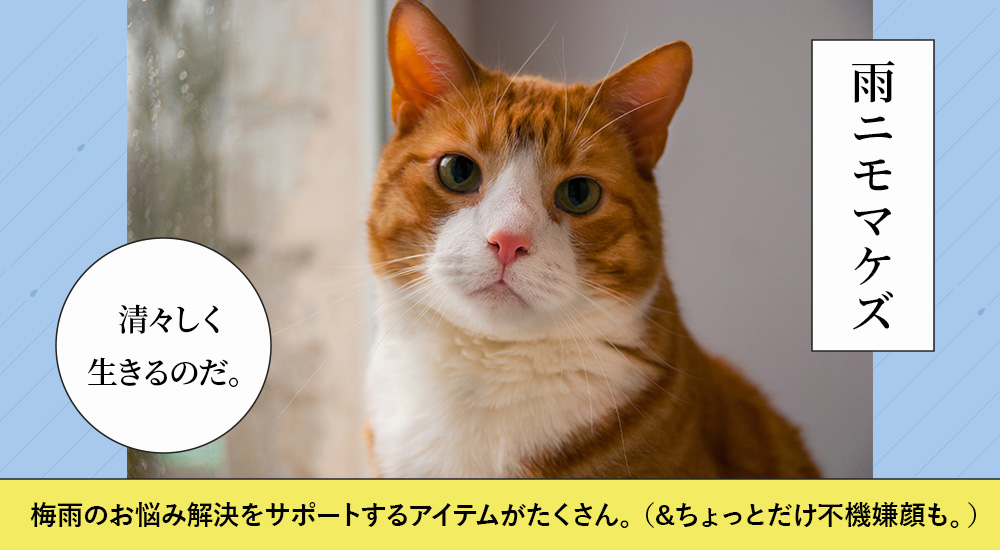 愛犬の梅雨のお悩みスパッと解決
