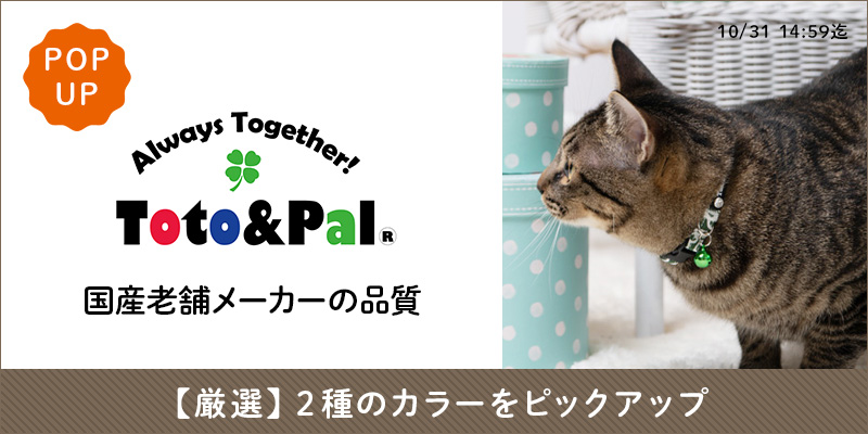 Toto&Pal(トトアンドパル)POP UP