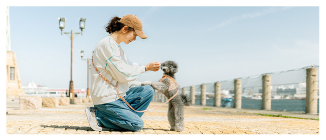 つくり手の心が、手のひらに伝わるものを。