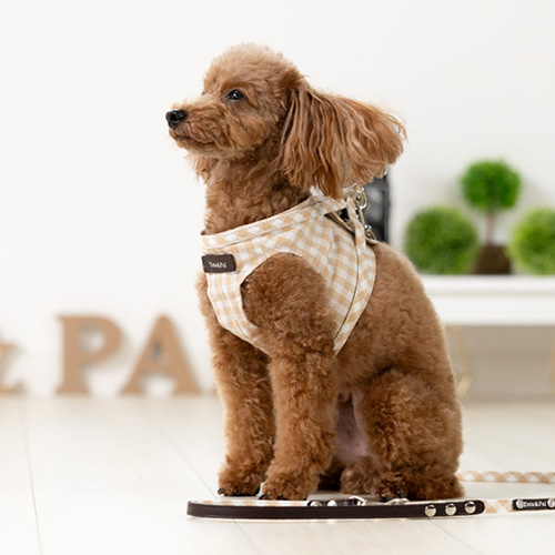 ボディーハーネス