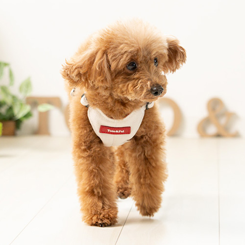 フィットハーネス