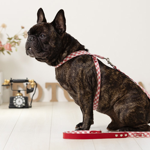 首入れハーネス