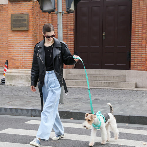 PEHOM　パテッドアクティブペットリード