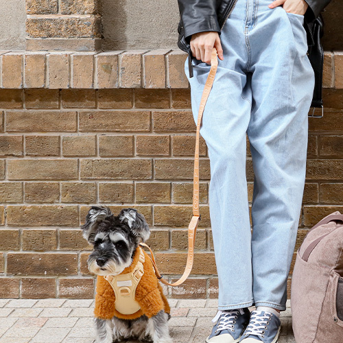 PEHOM　パテッドアクティブペットリード