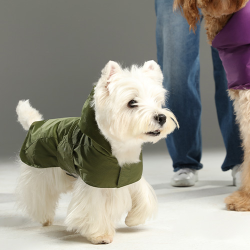 PEHOM　カプセルレインコート