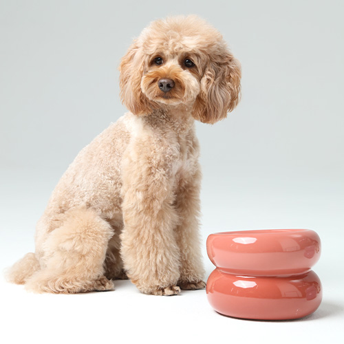 PEHOM　スフレペットボウル