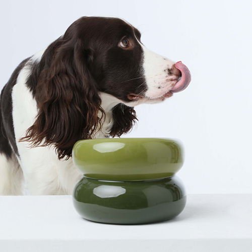 PEHOM　スフレペットボウル