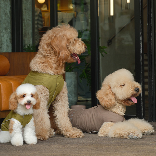 PEHOM　チルベストシャツ