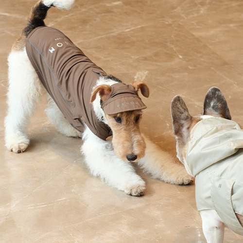 PEHOM　チルベストシャツ