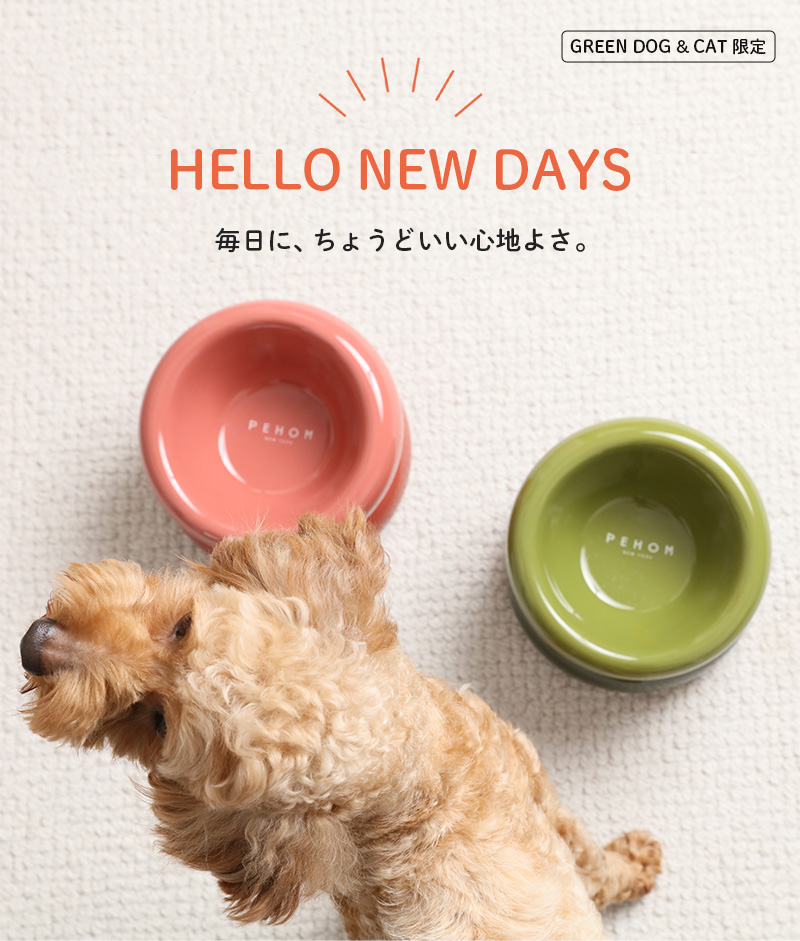 GREEN DOG＆CAT限定　PEHOM（ペホム）