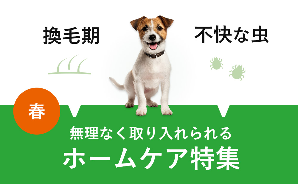 「換毛期」「不快な虫」春のホームケア