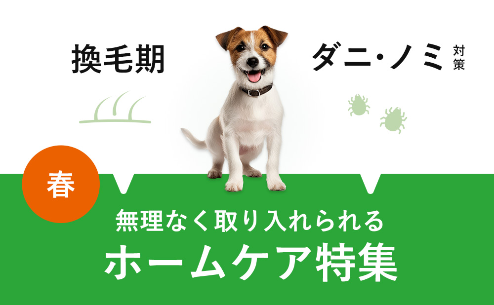 「換毛期」「ダニ・ノミ対策」春のホームケア