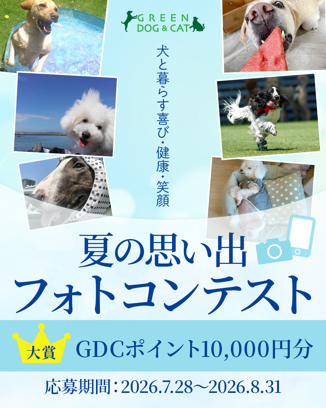 GREEN DOG & CAT 夏の思い出フォトコンテスト2026